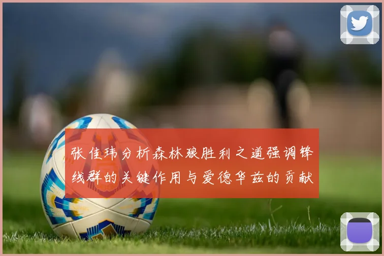 张佳玮分析森林狼胜利之道强调锋线群的关键作用与爱德华兹的贡献